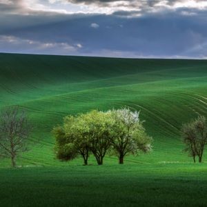 Meet your Posher, Harry